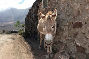 Fuerteventura: Safari Cofete