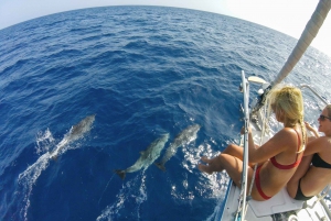 Fuerteventura: Sailing with Snorkeling and Dolphin Watching