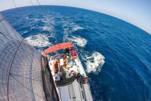 Fuerteventura: Sailing with Snorkeling and Dolphin Watching