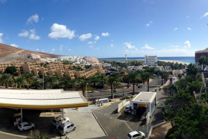 Fuerteventura South Full-Day Tour