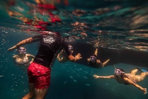 Fuerteventura : excursion en catamaran au coucher du soleil sur l'île de Lobos