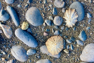 Fuerteventuras solnedgangsvandring til den vilde vestkyst