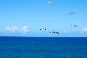 Fuerteventuras solnedgangsvandring til den vilde vestkyst