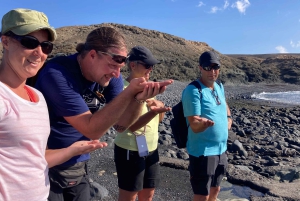 Fuerteventuras solnedgangsvandring til den vilde vestkyst