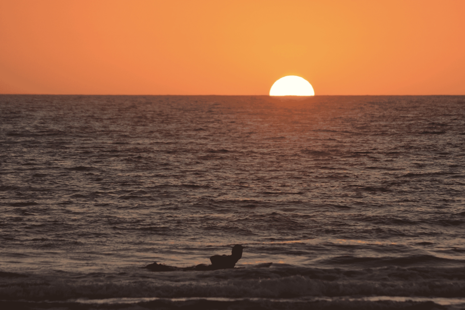 Fuerteventura: Surf of kitesurf fotosessie