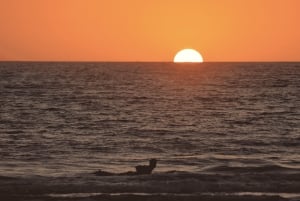 Fuerteventura: Surf or Kitesurf Photo Session