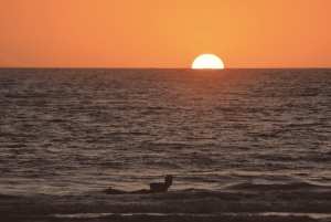 Fuerteventura: Surf of kitesurf fotosessie