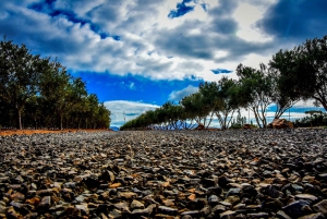 Fuerteventura: Tapas and Local Life Guided Tour