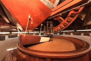 Fuerteventura: Tickets to Salt, Cheese and Windmill Museums