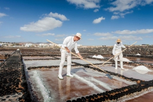 Fuerteventura: Tickets to Salt, Cheese and Windmill Museums