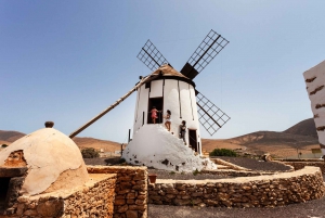 Fuerteventura: Tickets to Salt, Cheese and Windmill Museums