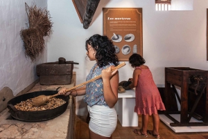 Fuerteventura: Tickets to Salt, Cheese and Windmill Museums