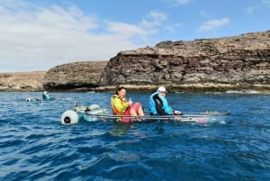 フエルテベントゥラ島：ガイド付き透明電動カヤック