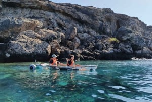 フエルテベントゥラ島：ガイド付き透明電動カヤック