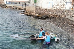 フエルテベントゥラ島：ガイド付き透明電動カヤック