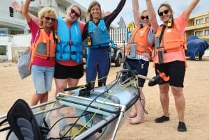 フエルテベントゥラ島：ガイド付き透明電動カヤック