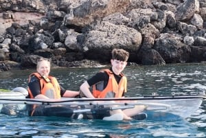 フエルテベントゥラ島：ガイド付き透明電動カヤック