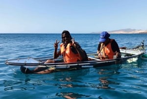 フエルテベントゥラ島：ガイド付き透明電動カヤック