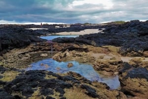 Fuerteventura: Trekking Tour Through the North of the Island