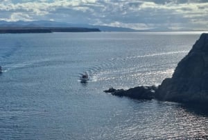 Fuerteventura Nord con tapas (cibo)