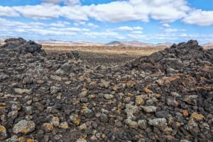 Fuerteventura: volcanic hike to the crater edge