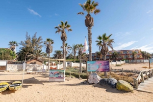 Fuerteventura: Windsurfing Taster in Costa Calma Bay!