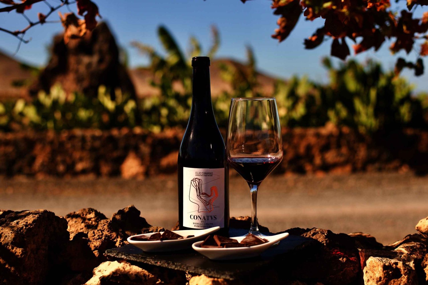 Fuerteventura: Winery Tour and El Cotillo Afternoon Escape