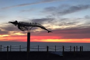 Fuerteventura: Winery Tour and El Cotillo Afternoon Escape