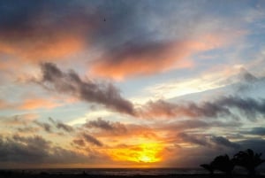 Fuerteventura: Winery Tour and El Cotillo Afternoon Escape