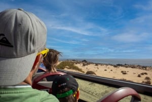 Fuerteventura :Dunas Corralejo, La Oliva Iglesia:¡cruceros!