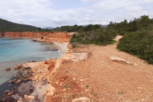 I luoghi e le spiagge più belle di Ibiza. Tour personalizzabile con la guida migliore