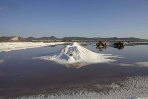 I luoghi e le spiagge più belle di Ibiza. Tour personalizzabile con la guida migliore