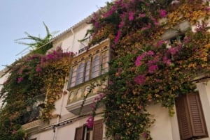 I luoghi e le spiagge più belle di Ibiza. Tour personalizzabile con la guida migliore