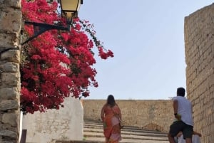 I luoghi e le spiagge più belle di Ibiza. Tour personalizzabile con la guida migliore