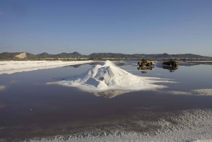 Najlepsze miejsca i plaże na Ibizie Spersonalizowana wycieczka z najlepszym przewodnikiem