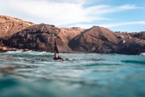 Intermediate & Advenced Surf Course in Fuerteventura's south