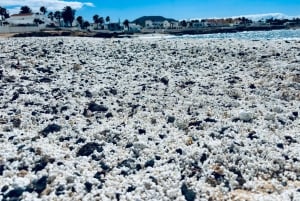 Lobos: 8 personer i gruppe med guide – Lobos, Popcorn Beach og sanddyner