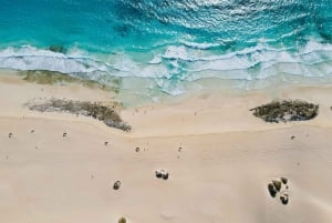 Lobos: 8 personer i gruppe med guide – Lobos, Popcorn Beach og sanddyner