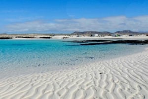 Lanzarote: Advanced 5-Hour Fuerteventura E-Bike Tour