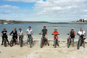 Lanzarote: Avanceret 5-timers Fuerteventura E-Bike-tur