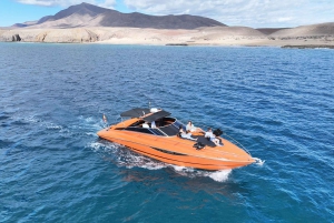 Lanzarote High-Performance Boat: Escursione all'Isla de Lobos e Papagayo