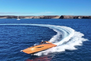 Lanzarote High-Performance Boat: Escursione all'Isla de Lobos e Papagayo