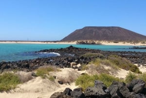 Lanzarote: Lobos Island Half-Day Dolphin Watching Trip