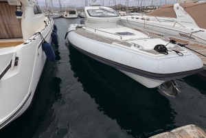 Lanzarote: Papagayo og Isla de Lobos med speedbåt