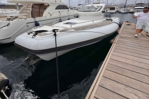 Lanzarote: Papagayo og Isla de Lobos med speedbåt