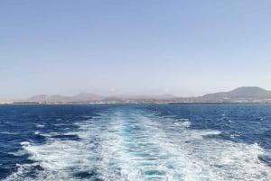 Lanzarote: Return or 1-Way Ferry to Fuerteventura with Wifi