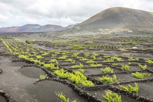 ランサローテ火山ツアーへようこそ