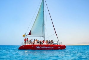 Lobos Island: 4-Hour Catamaran Trip with Lunch