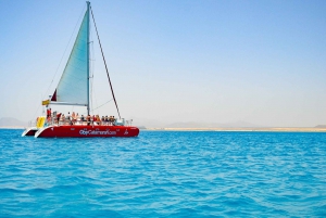 Lobos Island: 4-Hour Catamaran Trip with Lunch