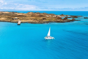 Lobos Island: 4-Hour Catamaran Trip with Lunch